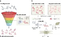 [HN] Antibiotic Identified by AI