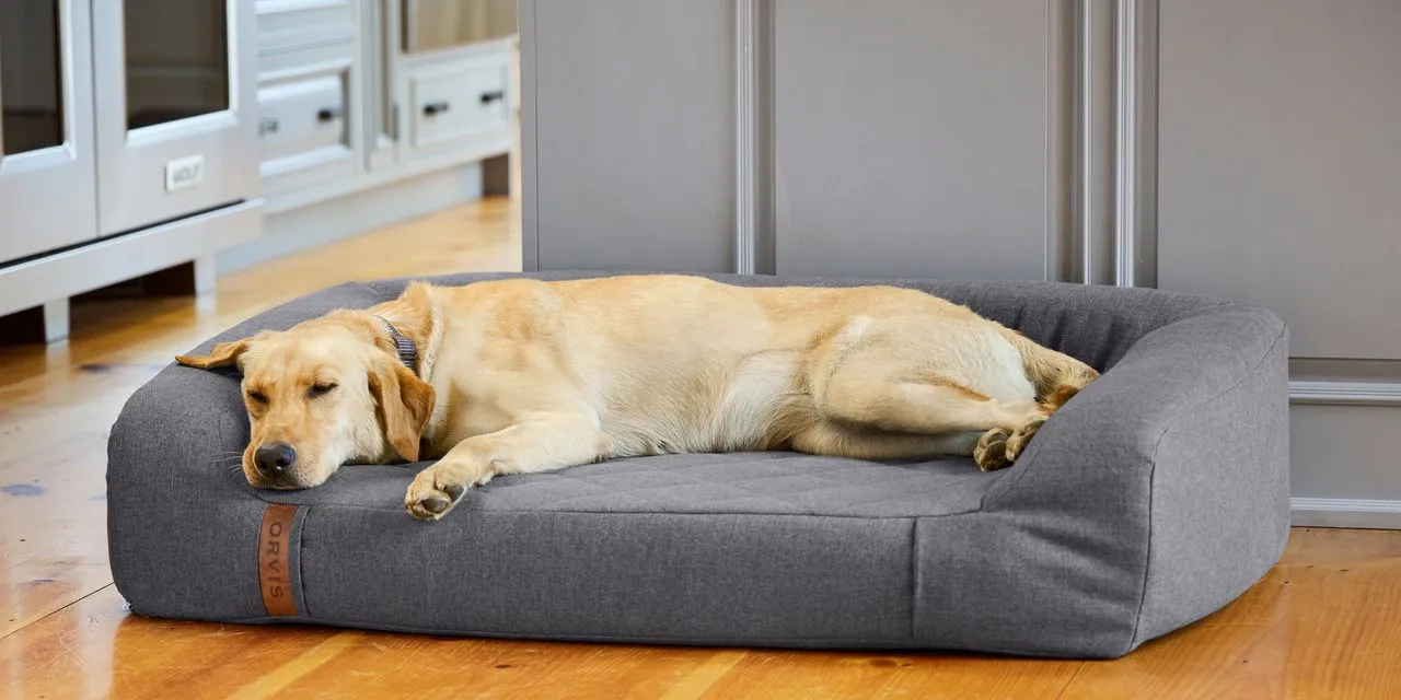 Massaging Balls, Plunge Pools, Memory Foam Dog Beds: Who Needs All This ‘Recovery’ Gear?